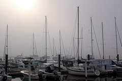 Marina in mist