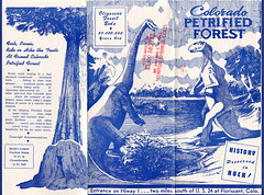TB_Petrified_Forest_front_CO