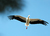 IMG 4183