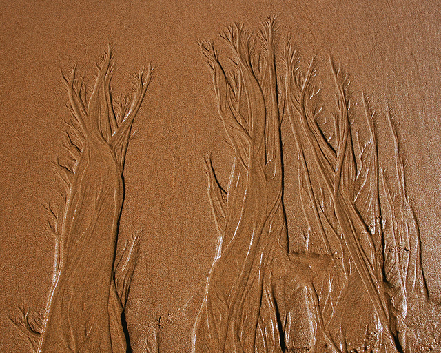 Patterns in the sand