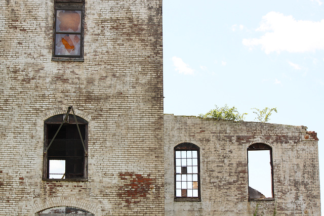 Windows with pulley