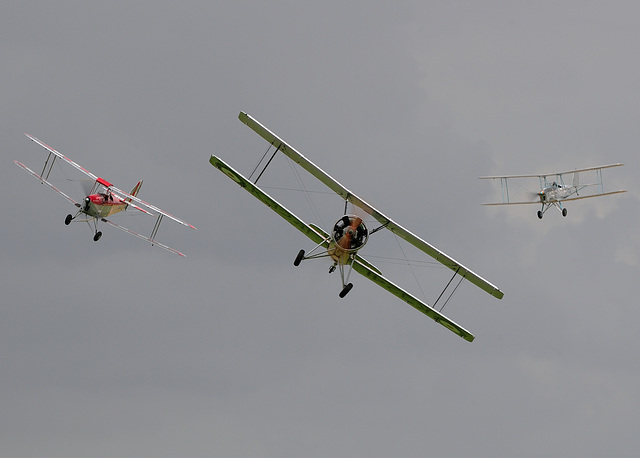 A trio of trainers