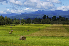 The Leadville Road – Mansonville, Québec