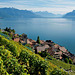 Lavaux et le lac Léman...