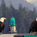 Day 6: Bald Eagle Pair