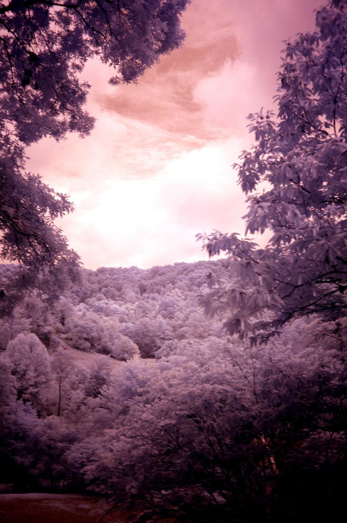 Out the front window, IR version