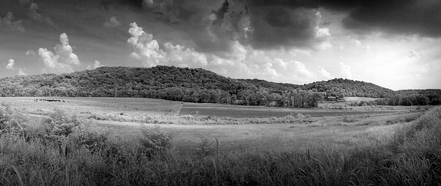 Infrared panorama