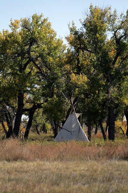 Teepee in the Woods