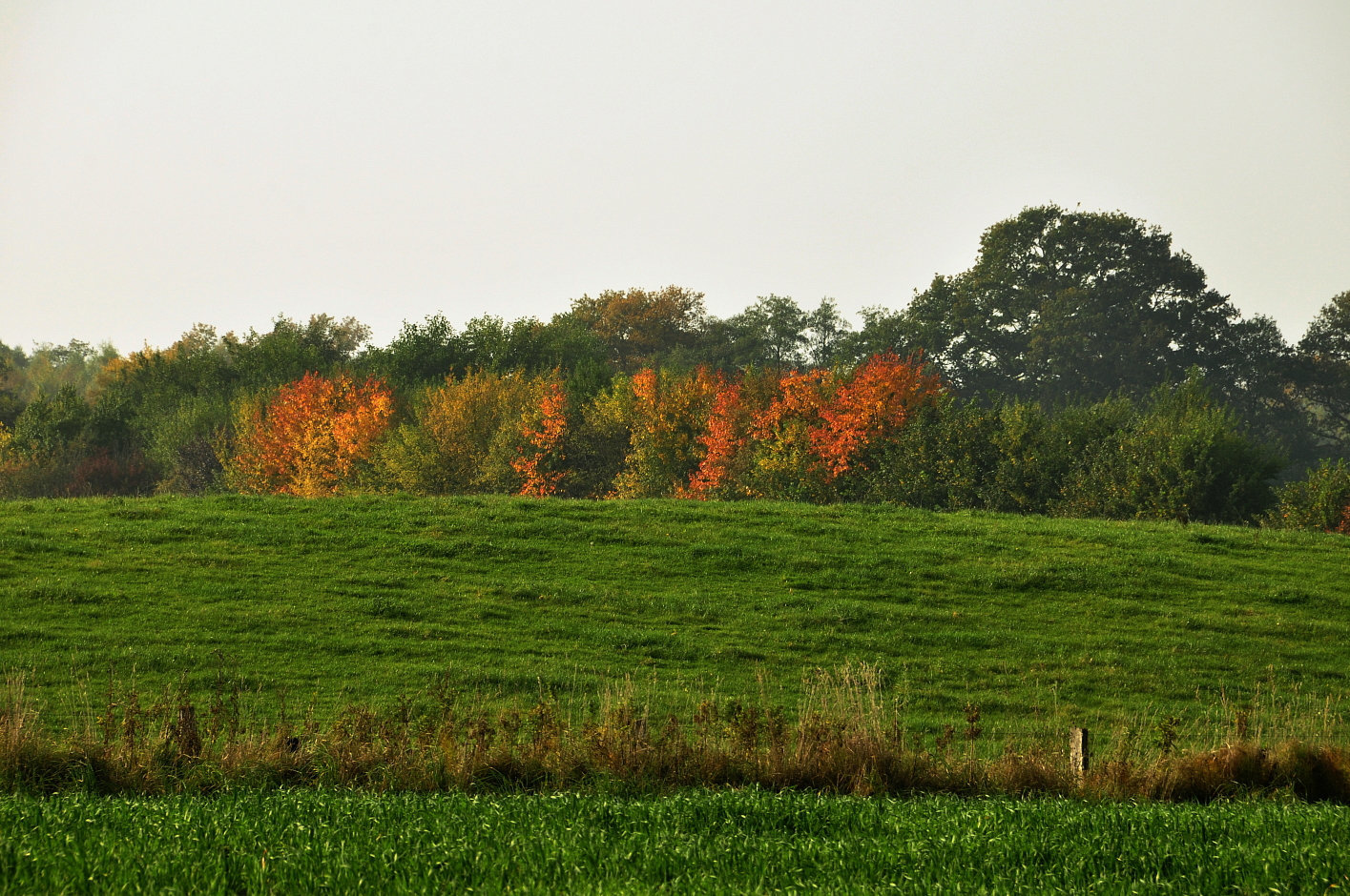 Goldener Oktober