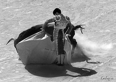 jose tomas nimes 16/09/2012 13h32 arenes combles soleil radieux