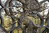 Antlers on Steroids – National Arboretum, Washington D.C.