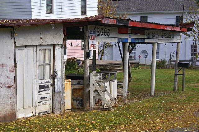 Out of Season – Sperryville, Virginia