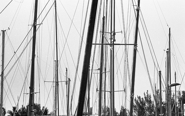 There are sailboats at Port Everglades, too