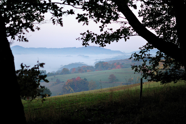 Odenwald - 121022 0804