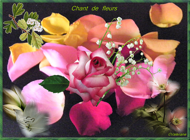 Chant de fleurs