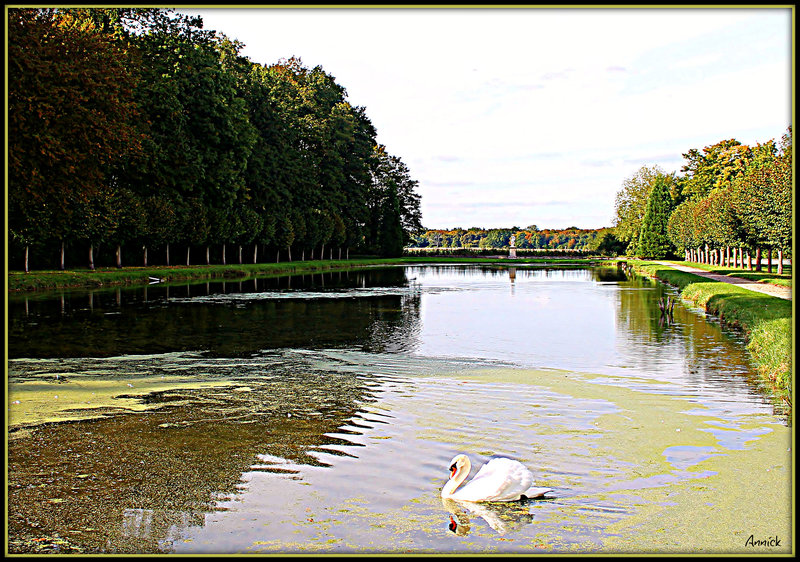 reflets sur Chaalis