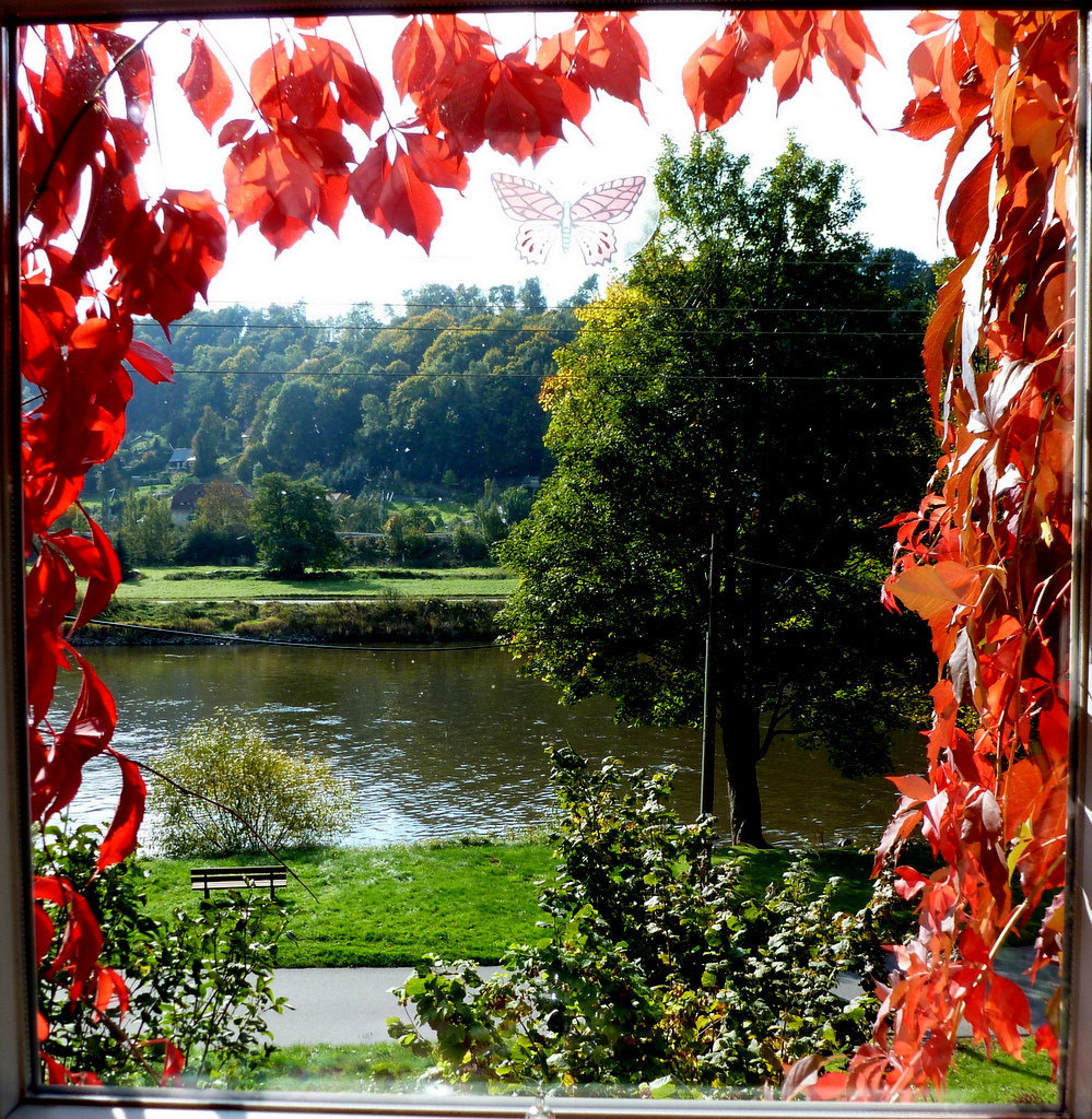 Herbstlicher Blick auf das Elbtal - aŭtuna elrigardo sur la Elbvalo