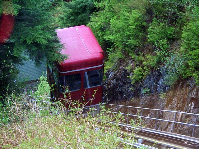 Day 5: Ketchikan - Cape Fox Tram