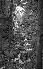 Stream on Quaker Hill