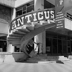 Anticus