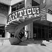 Anticus