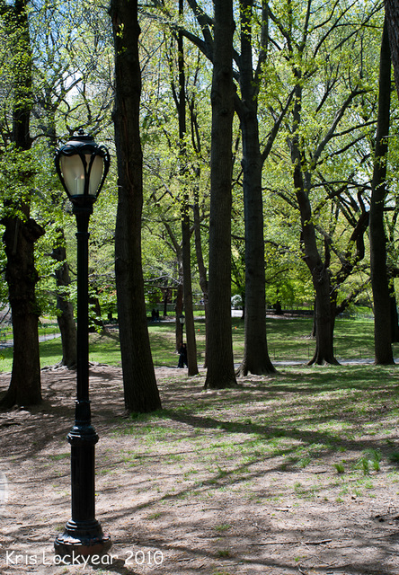 Lamp post