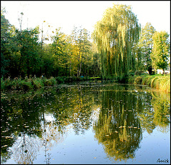 miroir automnal miroir automnal