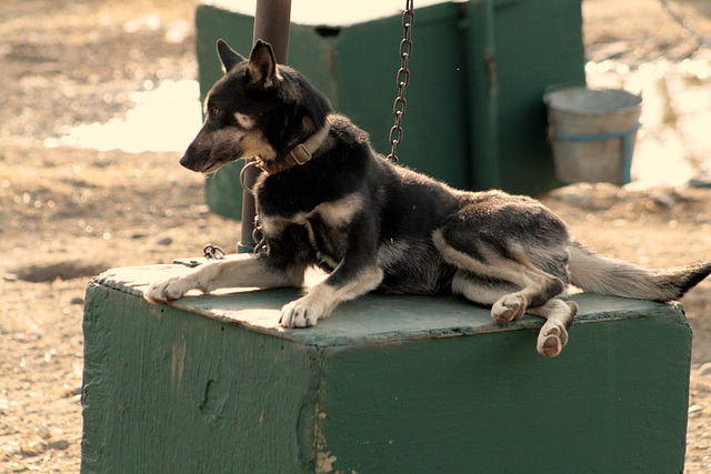 Day 13: Relaxing in the yard