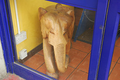 Elephant in the window