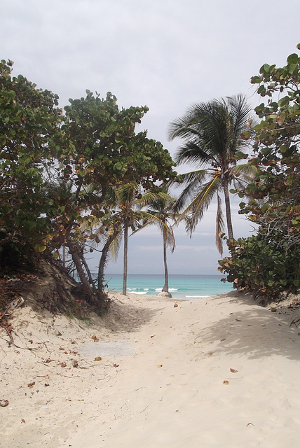 Plage cubaine / Cuban beach / Playa de Cuba - 5 mai 2012