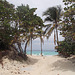Plage cubaine / Cuban beach / Playa de Cuba - 5 mai 2012