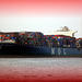 Containerschiff  MOL  COMPETENCE
