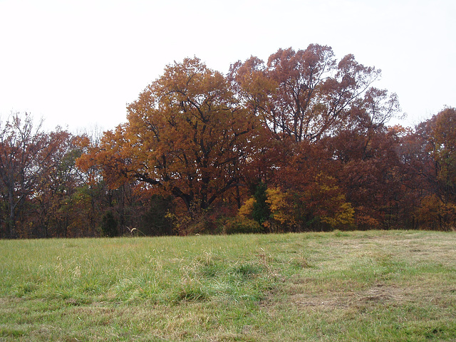 harpers Ferry 028