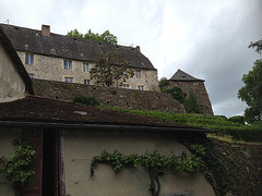 IMG 0309 IMG 0309