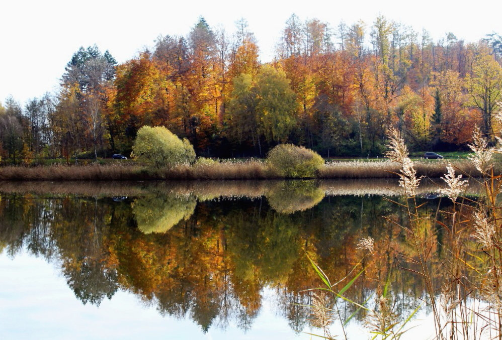 Spiegelungen im Wasser