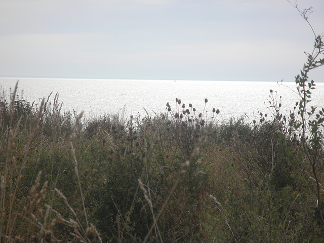 Blick auf den Greifswalder Bodden