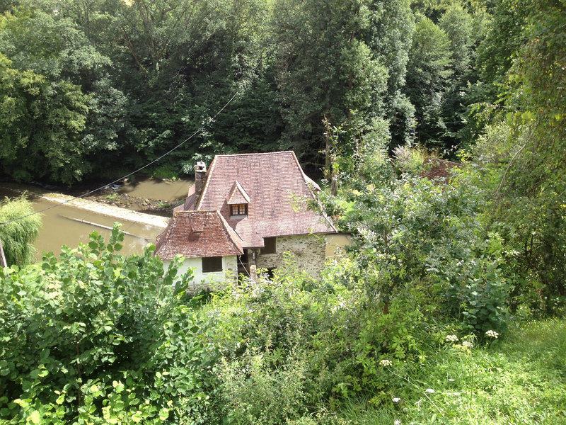 IMG 0317