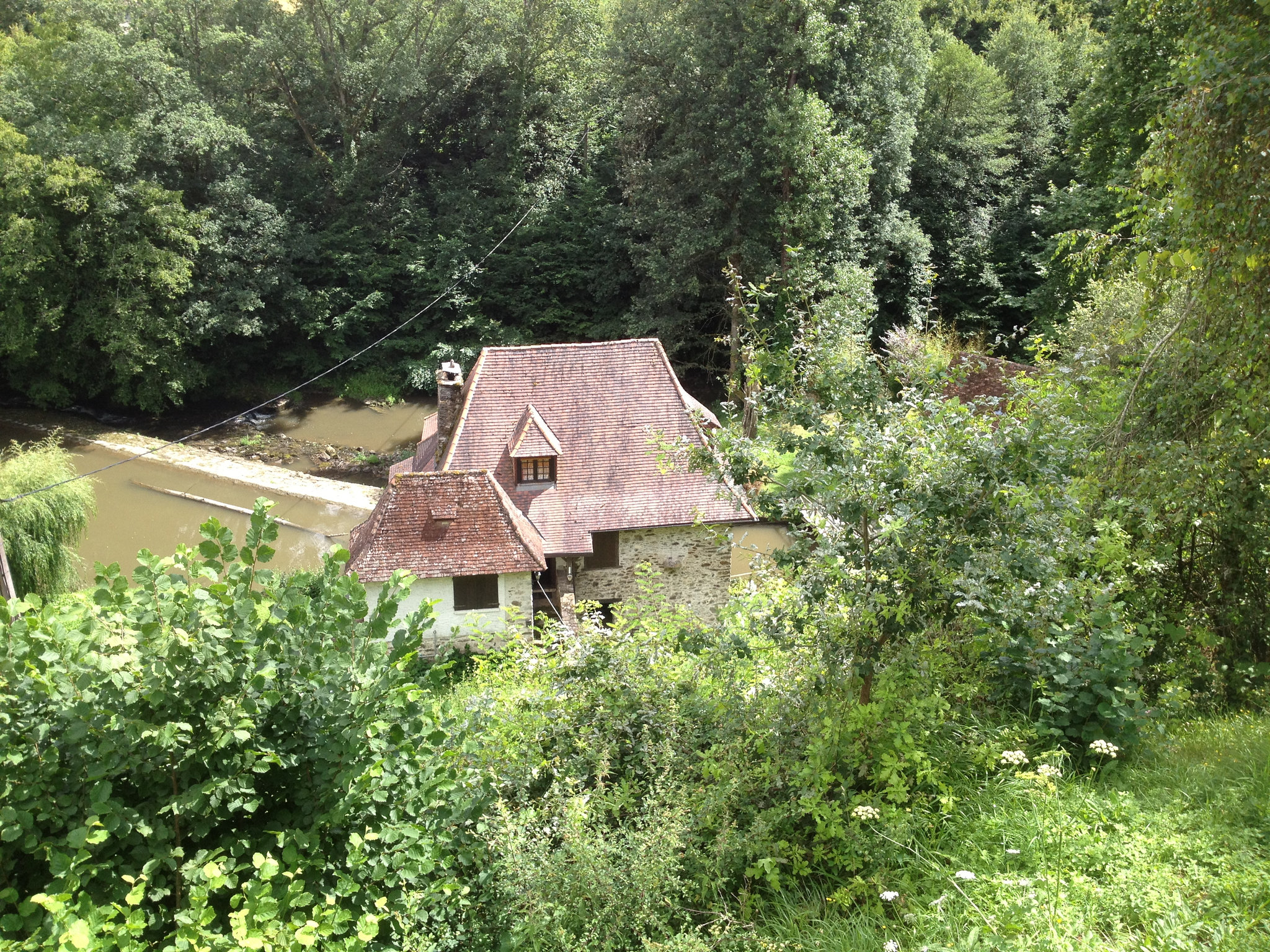 IMG 0317