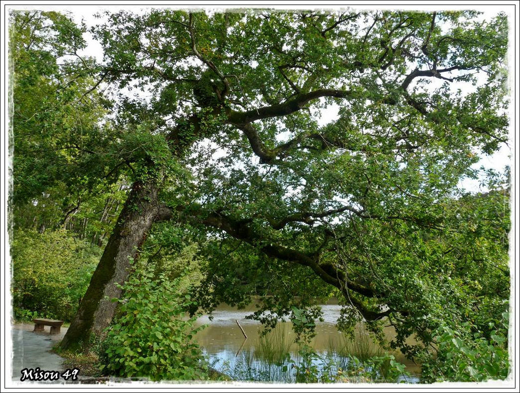 PARC SAINT NICOLAS