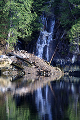 Alaska03 446