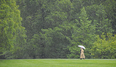 Stroll in the Summer Rain