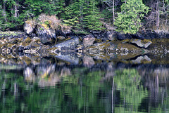 Day 5: Beautiful Reflections