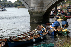 Boats and three bridges