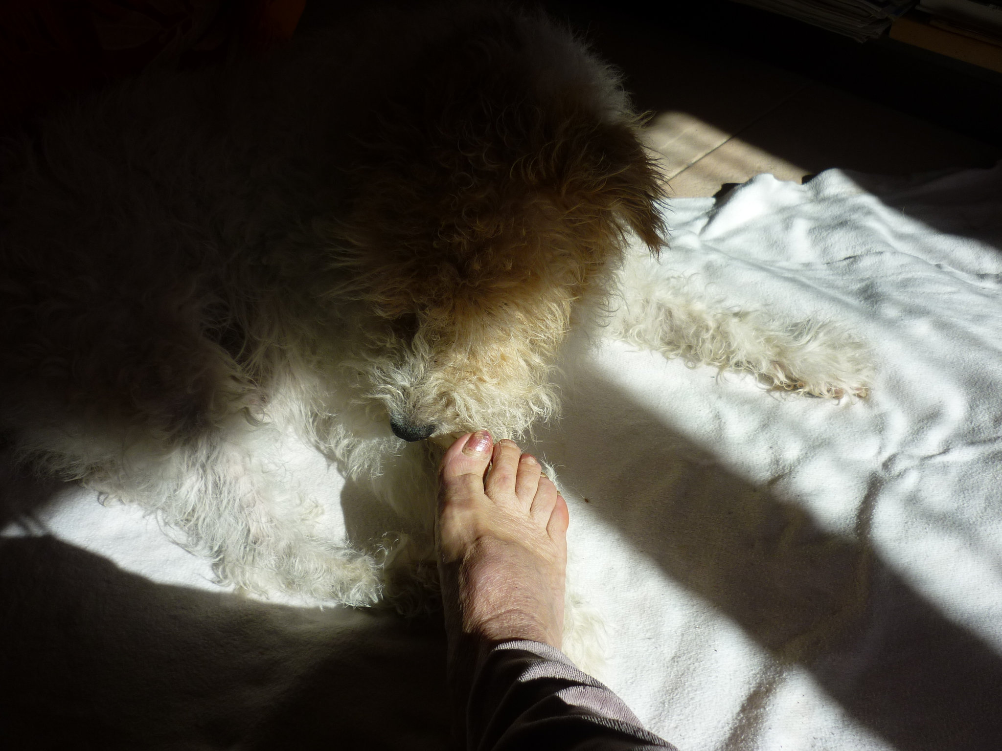 Petit lécheur de Pied / Cute Foot licker