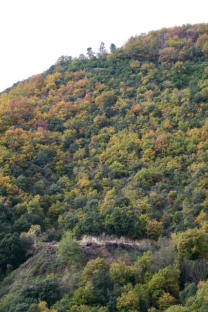 Paysage d'Ardèche