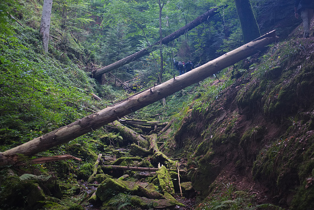 die sehr sehenswerte wolfsschlucht