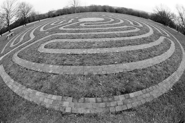 Maze at Canterbury