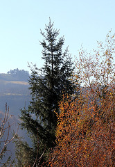 7 novembre- Il fait beau