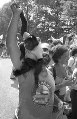 What's an anti-nuke demonstration without an aroused monkey?