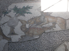 Musée de la mosaïque : griffon et antilope.